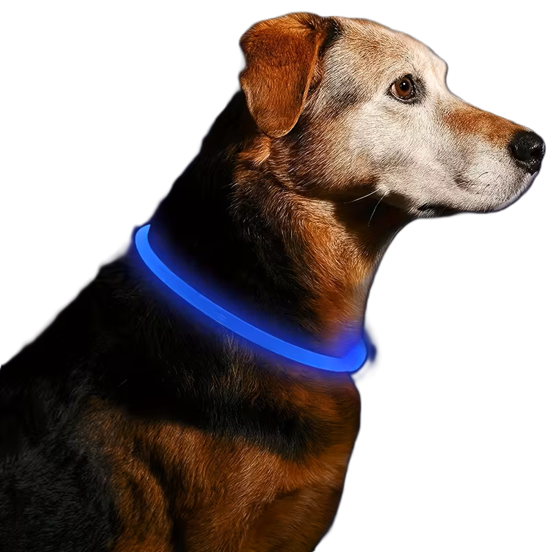 Lichtgevende Halsband - Hond - Oplaadbaar - LED - 51 cm