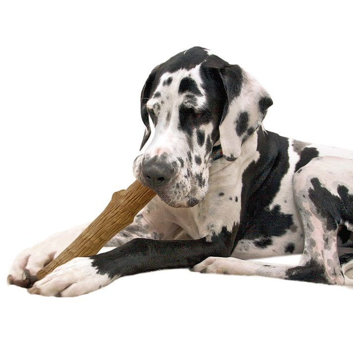 Petstages Dogwood Durable Stick – Duurzaam Kauwspeelgoed voor Honden, Veilig en Met Natuurlijke Houtgeur, Verkrijgbaar in M & L
