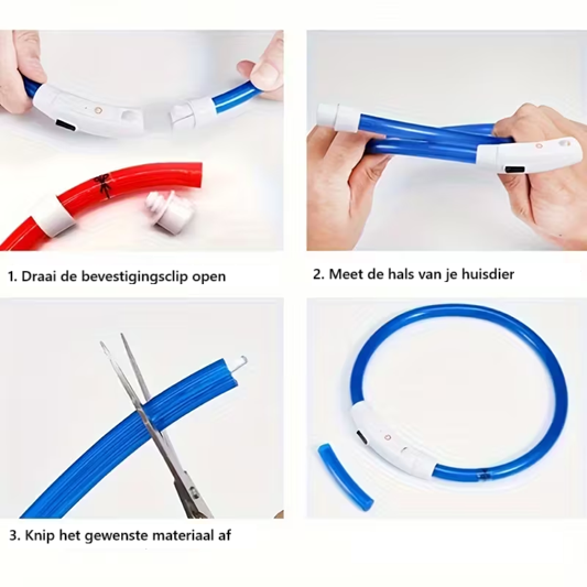 Lichtgevende Halsband - Hond - Oplaadbaar - LED - 51 cm