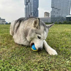 2x Honden Kauwspeelgoed Ballen met Pieper – C-vormig TPR Rubber, Interactief Gooi- & Speelplezier