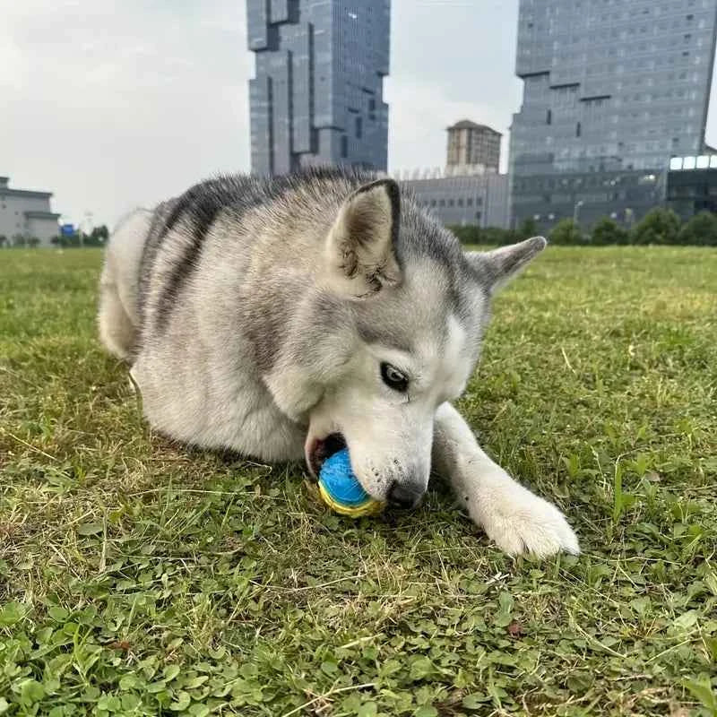 2x Honden Kauwspeelgoed Ballen met Pieper – C-vormig TPR Rubber, Interactief Gooi- & Speelplezier