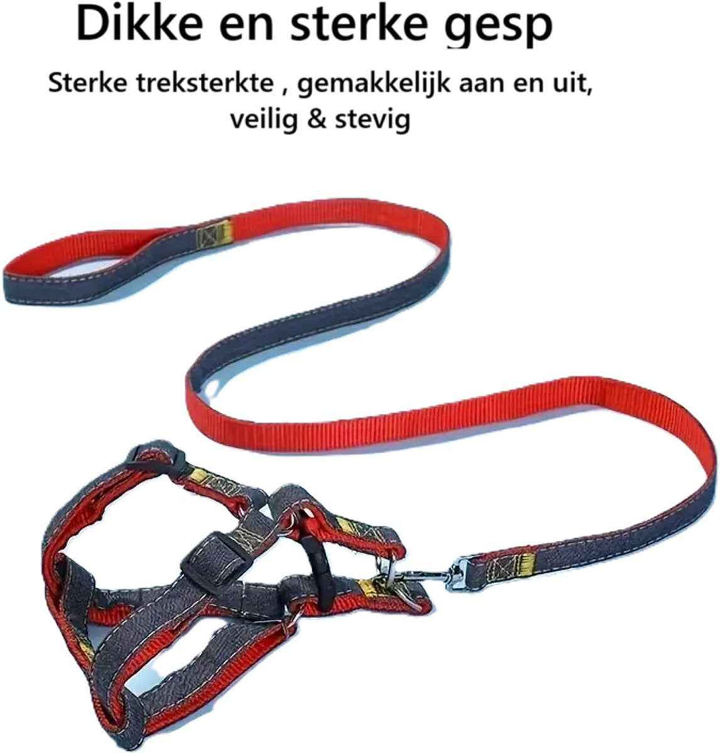 2-delige Nylon Harnas en Riem Set - Duurzaam en Verstelbaar voor Honden en Katten