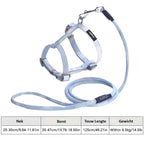 Kattenharnas met leiband – verstelbaar en veilig blauw/grijs met metalen gespen