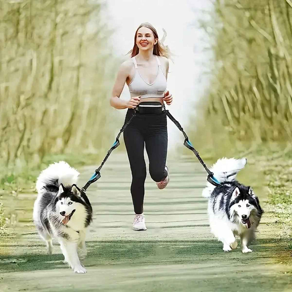 Verstelbare hondenriem voor 2 honden - Zwart/Teal met handige dubbele bevestiging