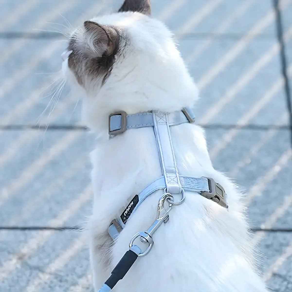 Kattenharnas met leiband – verstelbaar en veilig blauw/grijs met metalen gespen