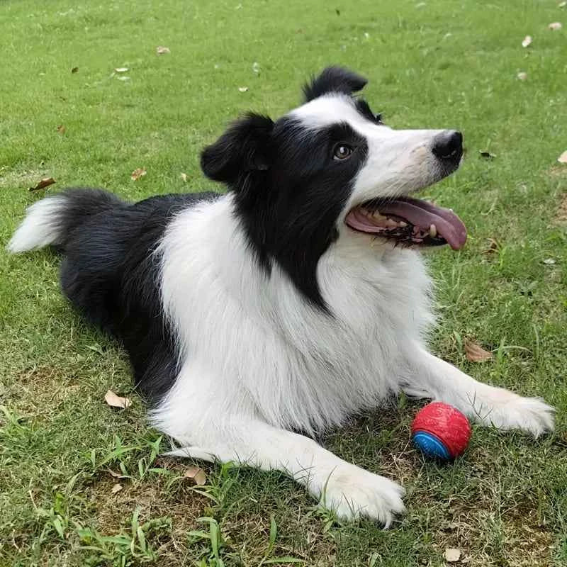 2x Honden Kauwspeelgoed Ballen met Pieper – C-vormig TPR Rubber, Interactief Gooi- & Speelplezier