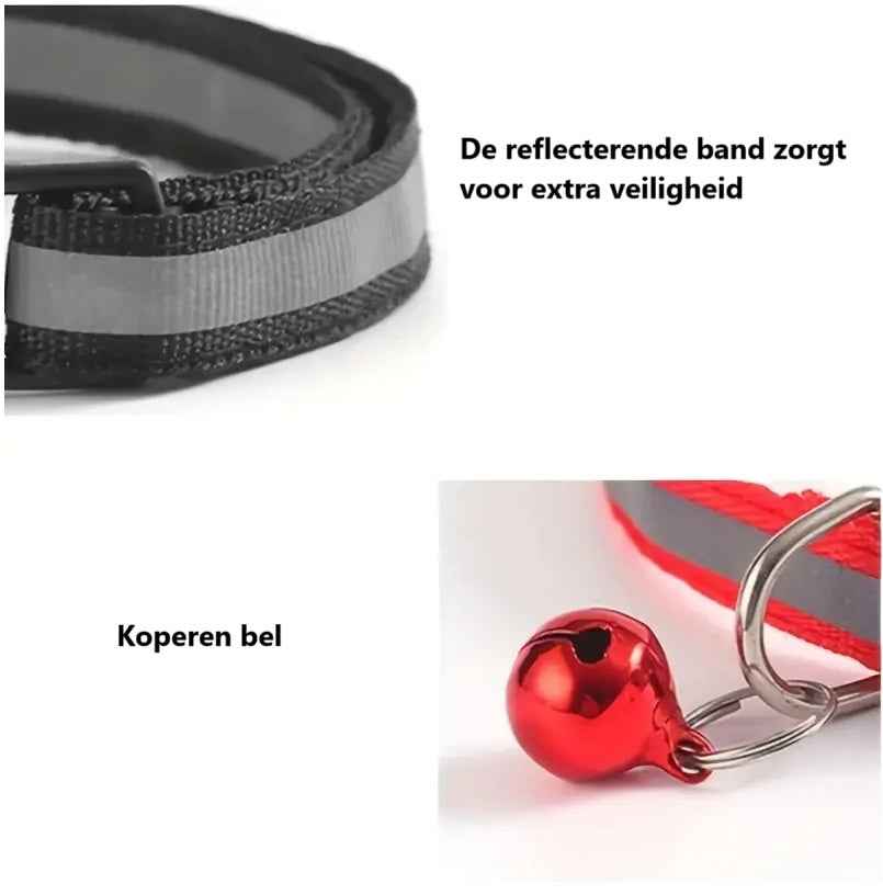 Kattenhalsband Reflecterend met Belletje voor Extra Veiligheid