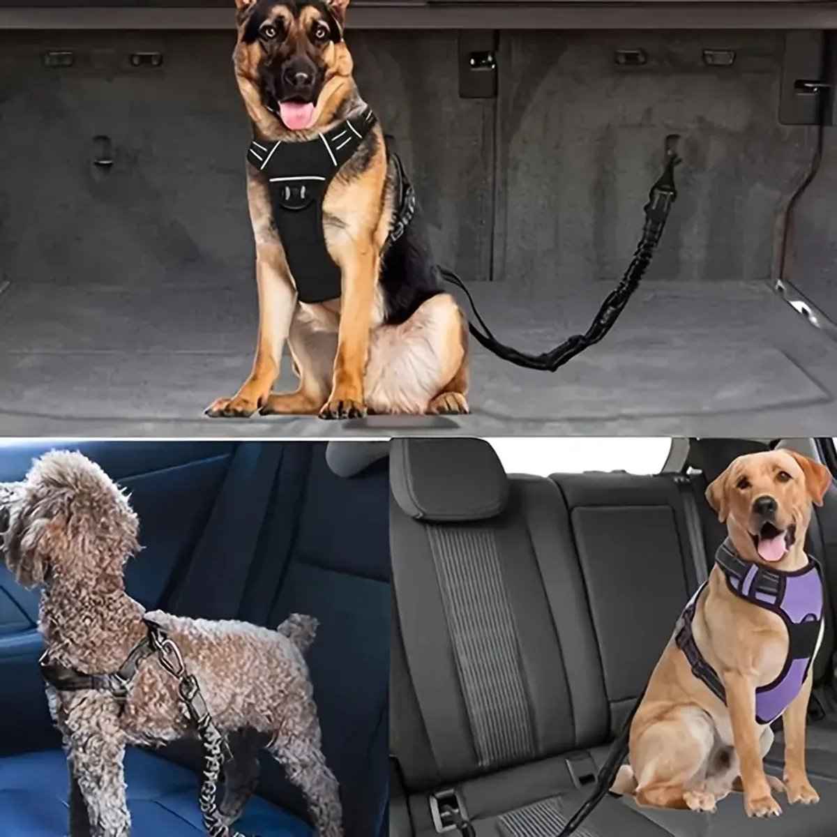 Autogordel Hondenriem met ISOFIX en Gordel Aansluiting voor Veiligheid