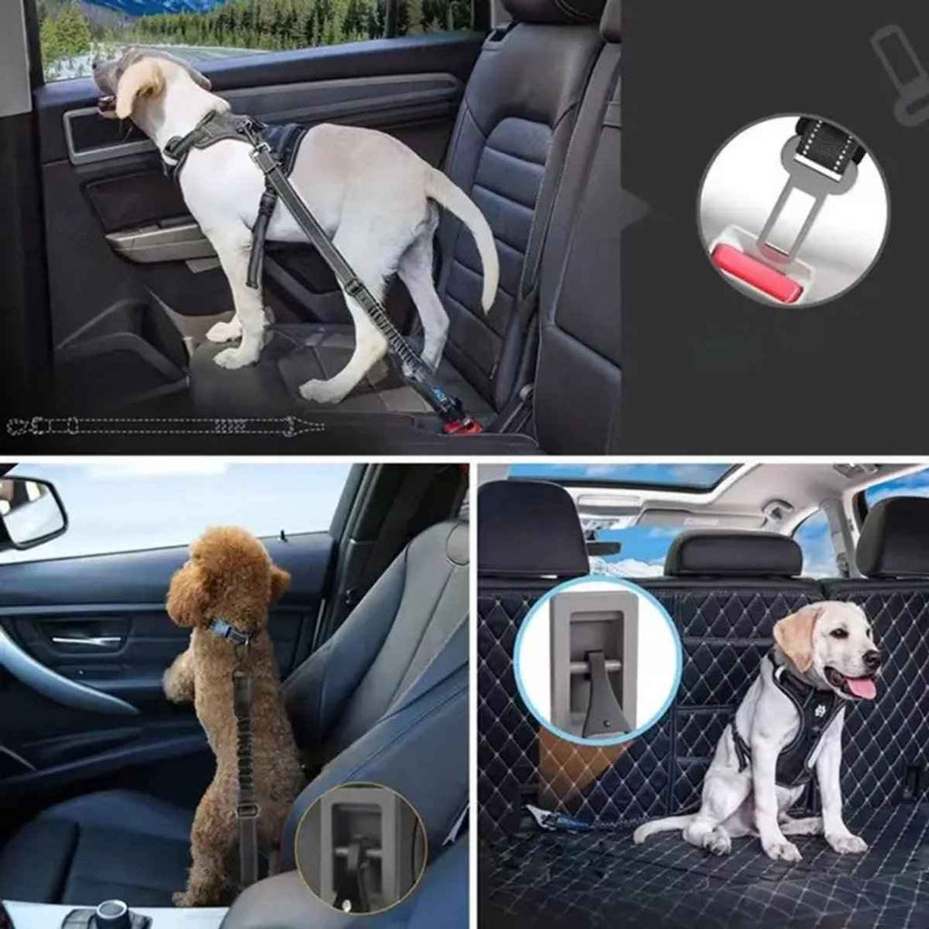 Autogordel Hondenriem met ISOFIX en Gordel Aansluiting voor Veiligheid