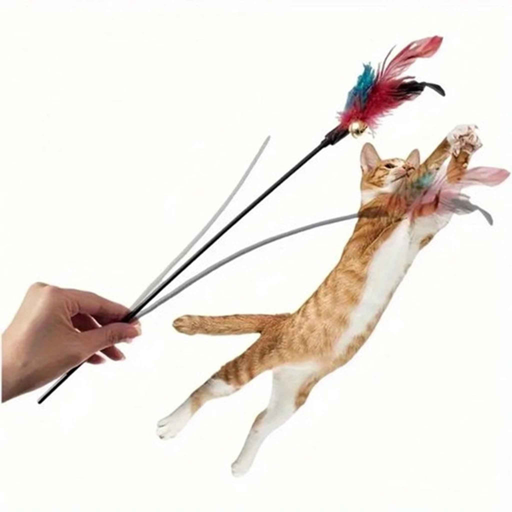 Kattenhengel met veren en bel voor urenlang speelplezier - 2x set