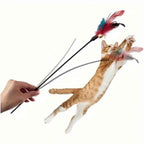 Kattenhengel met veren en bel voor urenlang speelplezier - 2x set
