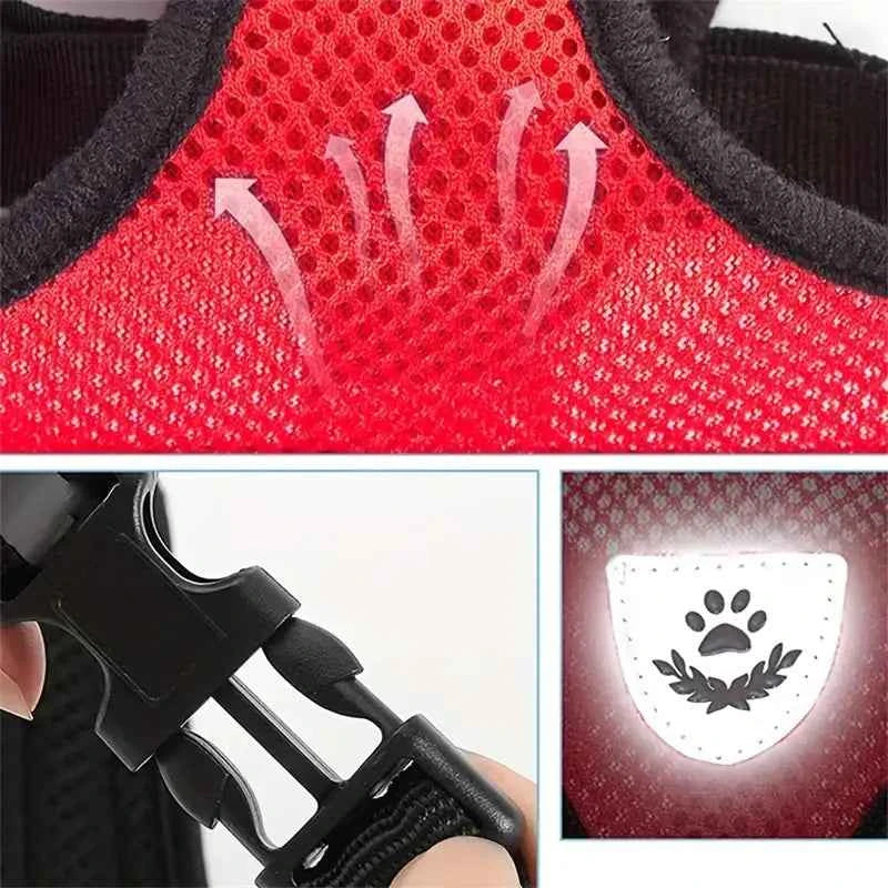 Reflecterend Kattentuig met Verstelbaar Harnas & Wandellijn – Geschikt voor Katten & Kleine Honden