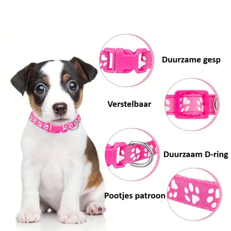 Verstelbare Halsband met Veiligheidsgesp – Duurzame Nylon Honden met Snelsluiting & Pootjespatroon voor Kleine en Middelgrote Honden | Cartoon Polyestervezel