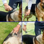 Klittenkam voor huisdieren - Ideaal voor Katten en Honden