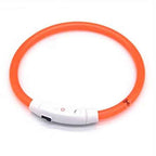 Lichtgevende Halsband - Hond - Oplaadbaar - LED - 51 cm
