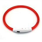 Lichtgevende Halsband - Hond - Oplaadbaar - LED - 51 cm