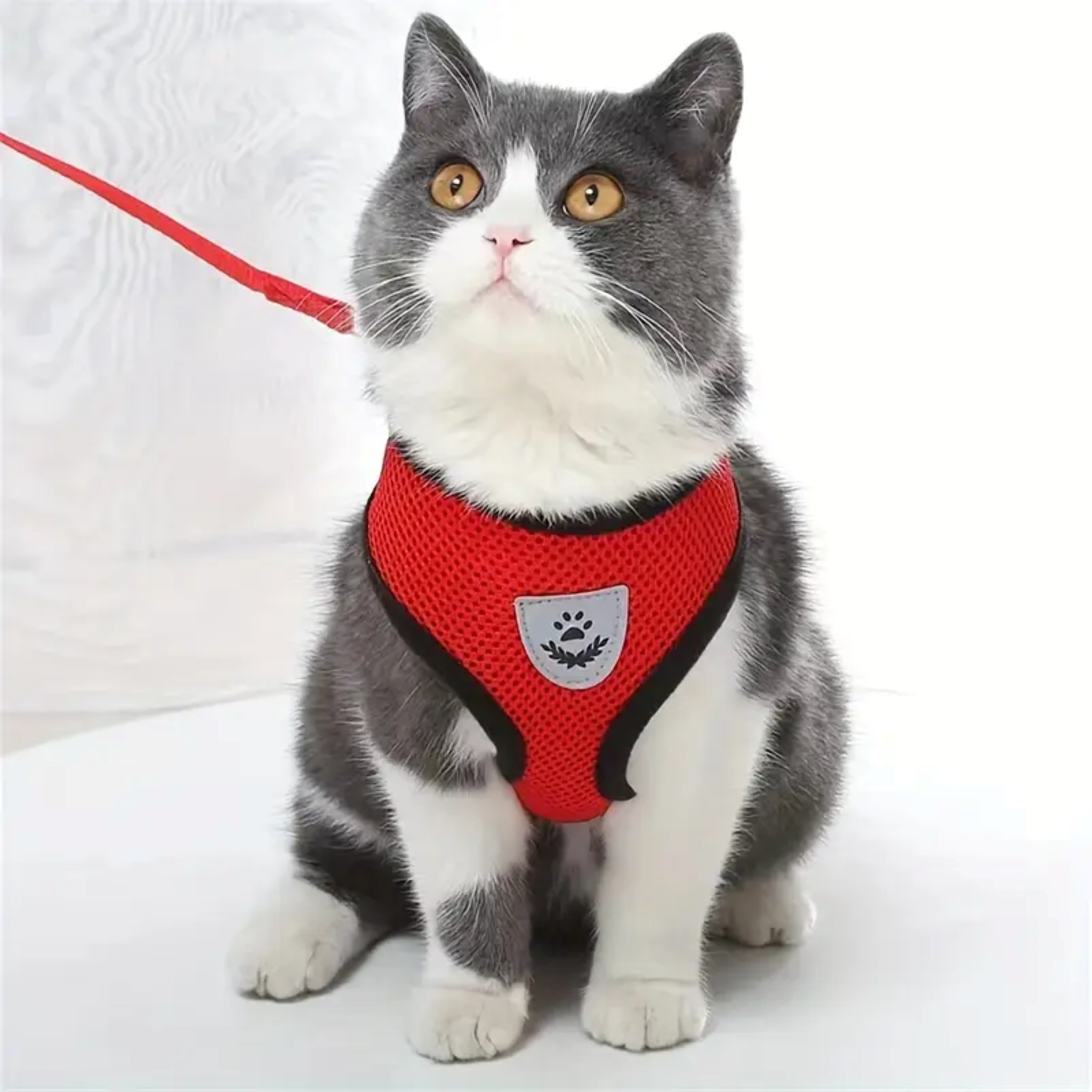 Reflecterend Kattentuig met Verstelbaar Harnas & Wandellijn – Geschikt voor Katten & Kleine Honden