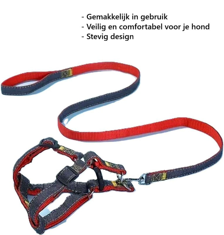 Harnas en Riem voor Hond - Nylon - 2-delige set - Verstelbaar voor Honden en Katten -Rood/Blauw