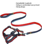 Harnas en Riem voor Hond - Nylon - 2-delige set - Verstelbaar voor Honden en Katten -Rood/Blauw